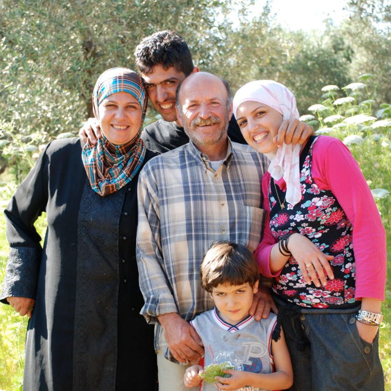 Oliven aus Palästina Oliven aus Palästina