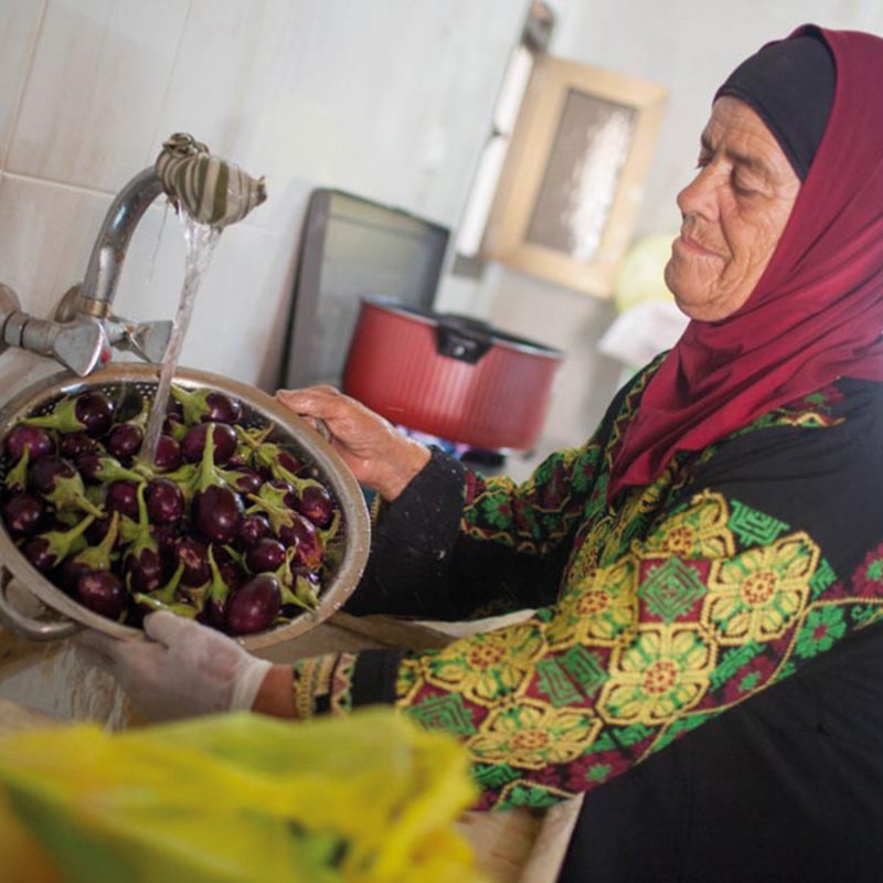 13 Produkte aus Palästina Nabali Fairkost