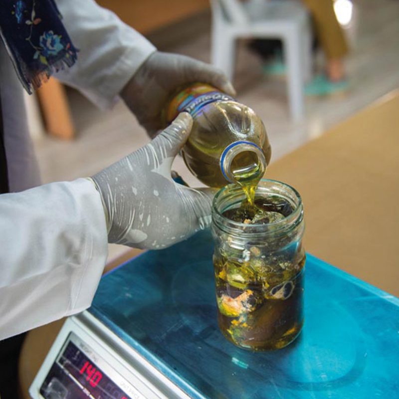 Olivenöl aus Palästina Bestes Olivenöl der Welt aus Palästina